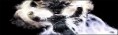 /album/signatury/anime-sig-copy-jpg/